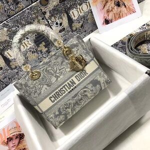🍒🍒Dior Lady D-Lite Bag 
Embroidered